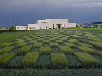 Fiorenzuola Institute